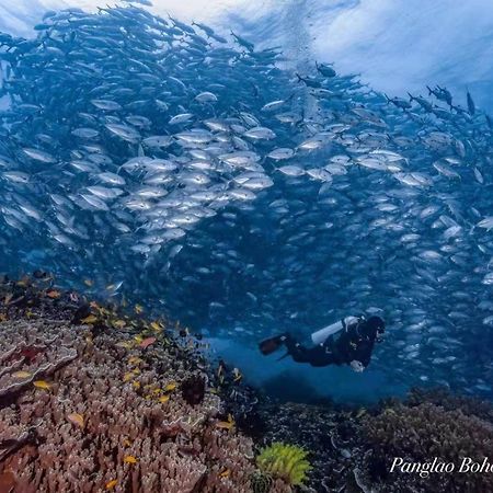 Ultra Mint Dive Resort بنغلاو المظهر الخارجي الصورة