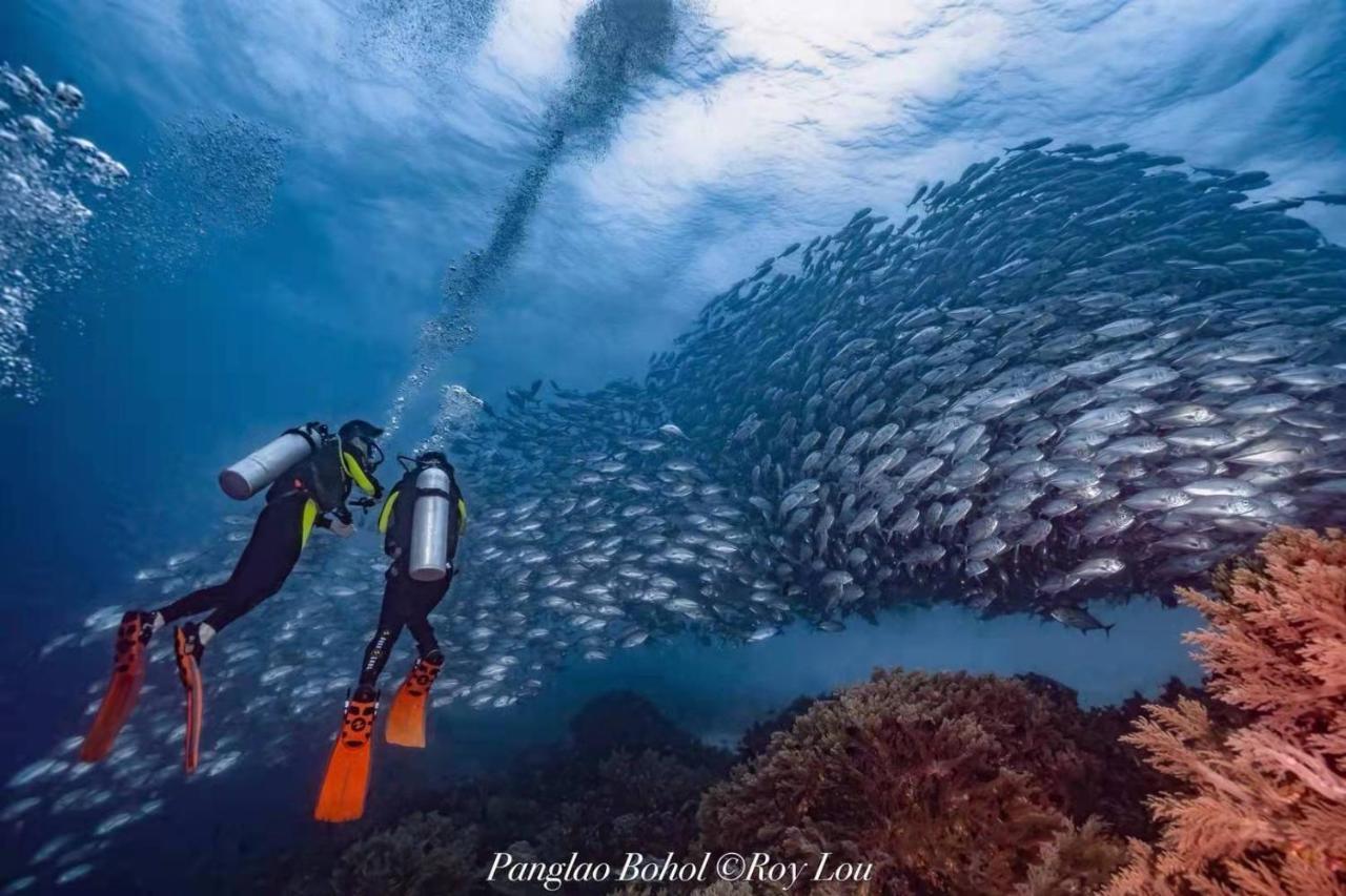 Ultra Mint Dive Resort بنغلاو المظهر الخارجي الصورة