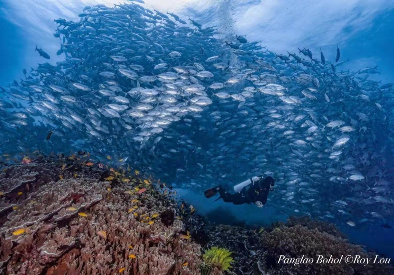 Ultra Mint Dive Resort بنغلاو المظهر الخارجي الصورة