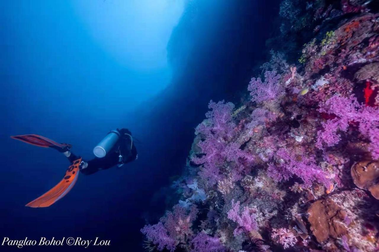 Ultra Mint Dive Resort بنغلاو المظهر الخارجي الصورة